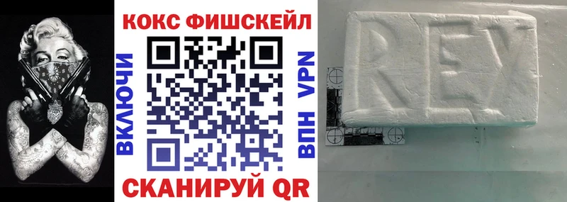 Cocaine Fish Scale  Купить закладки  Баксан 