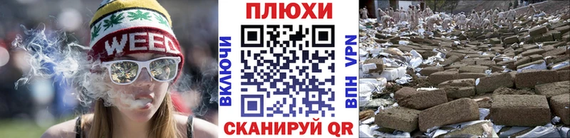 Купить  Баксан  ГАШ Premium 