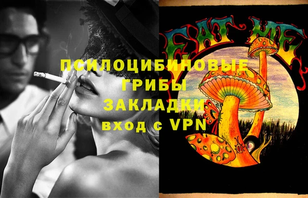 гашик Балабаново