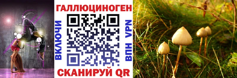 Галлюциногенные грибы ЛСД  Купить  Баксан 